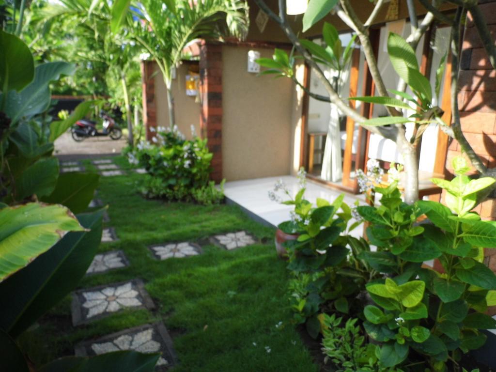 Made Taro - Menjangan Homestay Banyuwedang Exterior photo